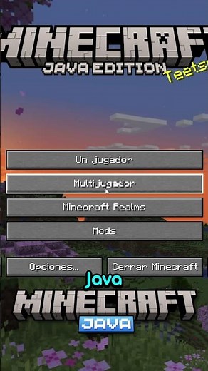 How to play Minecraft Java and Bedrock!