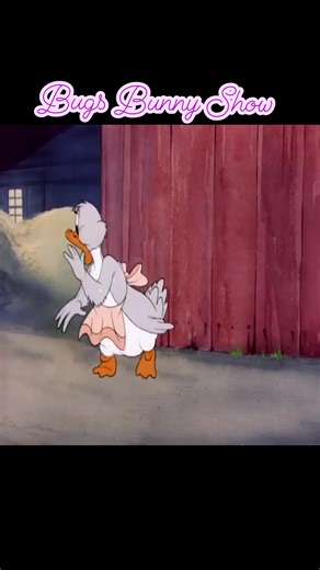 we love 😘🥰❤️watching Tom and jerry😘❤️❤️🤣🤣🤣 | Bugs Bunny Show