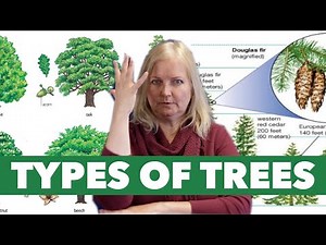 Types of Trees (ASL)