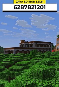 I found a witch on a mansion roof | Minecraft Java Edition seed