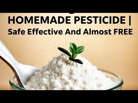 Incredibly powerful homemade pesticide | Safe effective and almost FREE !