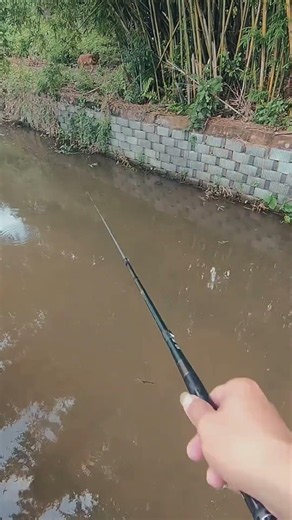 🎣🐟 How to use bait for fishing #gofishi #fishing #handfish #subscribe #fishingvideo #fishinglife 🐟