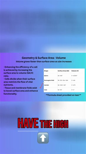 Cell Division: How Cells Impact Your Organ Systems #shorts