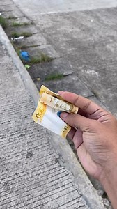 Money hunt 500 | Sta Maria Vines