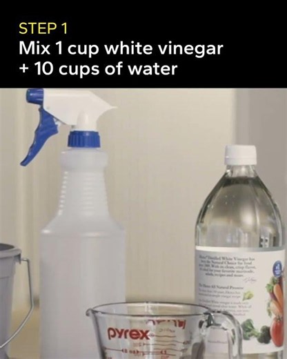 Window Cleaning - Spring Cleaning Hack #home #cleaning #Windows #Pella #southwest #diy #hack