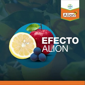 16K views · 24 reactions | Aplicá Alion, ahorrá tiempo y aumentá la productividad en el control de malezas. Conocé el herbicida de suelo activo, no selectivo con prolongado efecto residual. ¡Hacé click en el enlace y conocé más características! www.cropscience.bayer.com.ar/alion-frutas-y-hortalizas | Bayer Argentina Crop Science | Facebook