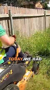 Massively overgrown yard gets a mow down