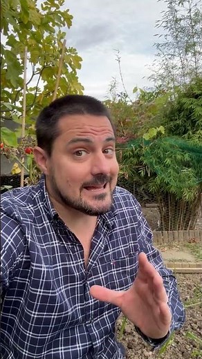 Planter les oignons à l’automne : mes résultats en octobre ! #potager #jardinage #jardin