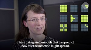53K views · 895 reactions | Scientists across the world are working together to fight the novel coronavirus. In this video, Nature looks at three fields of research that are vital to keeping this outbreak under control: epidemiology, virology and biomedical science. Read the latest on the outbreak: https://go.nature.com/39hGjM6 | Nature Portfolio | Facebook
