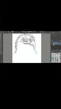 From Sketch to Realistic Falcon 🦅🔥 #drawing #funny #how #relax #art