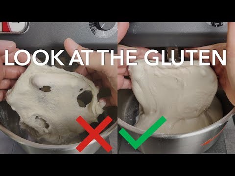How bad kneading impacts gluten elasticity