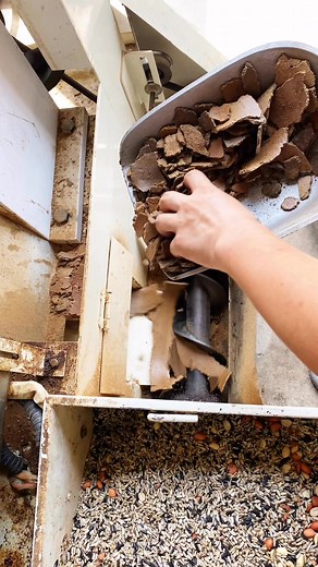 Before pressing the oil, use some oil cake run-in equipment to get a higher oil yield. #oilpress #oilpressmachine | Oilpress machine