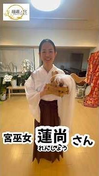 於大の方まつりまで、あと18日‼️宮巫女紹介🌸 #久能山東照宮 #日光東照宮 #徳川家康 #於大の方 #母 #神社仏閣 #珊瑚ノ宮 #sangonomiya #巫女舞 #巫女舞教室 #fyp