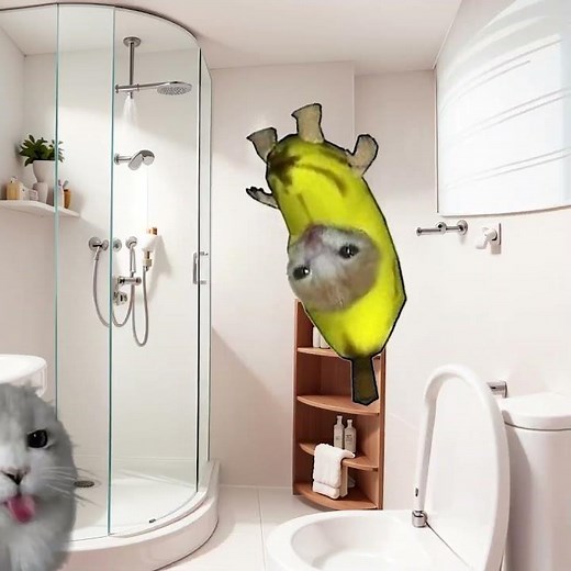 Banana Cat 🍌🐱 Hides From Nyon Cat 🐾👀