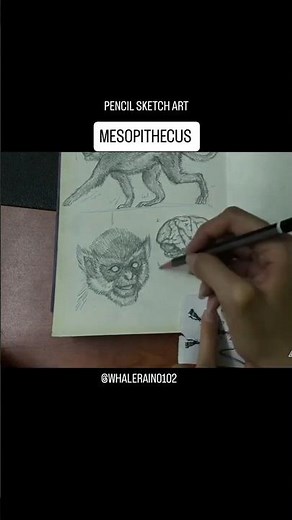 Mesopithecus | old world monkey brain looks delicious?