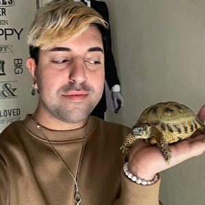 AntSpellVerse1 - Twitch