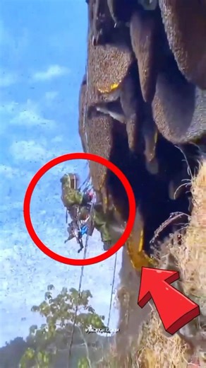 लाखों मधुमक्खियों के बीच मौत का खेल ! 🐝😱#shorts