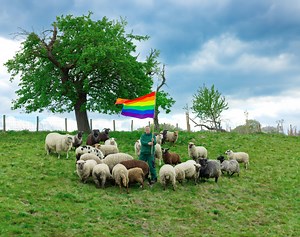 I love your sweater. Is it made from gay sheep wool?