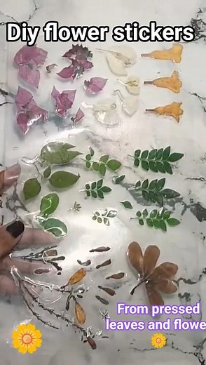 DIY vintage flower stickers from pressed leaves and flower 🌼#aesthetic diy #handmade #journal