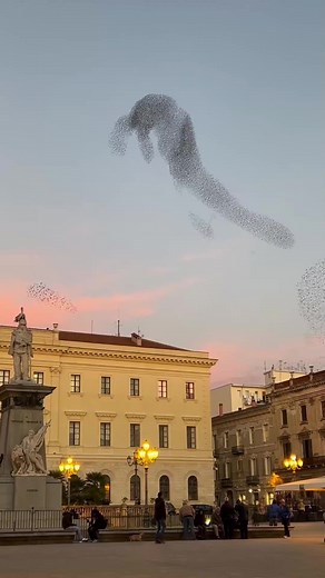 Mesmerizing Starling Murmuration in Sassari, Italy