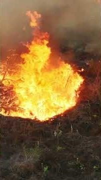 Geomatics helps prevent disasters