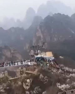 11K views · 108 reactions | China, the first country to build glass bridge. See how the people were shaking like jelly on the opening day. Even dogs refused to go through the bridge! What an experience! | Alibi Television | Facebook