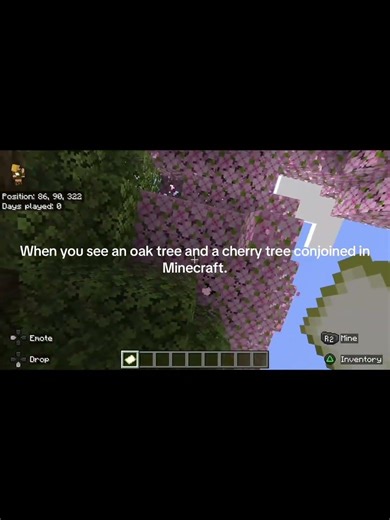 When you see an oak tree and a cherry conjoined in Minecraft.