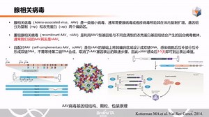 枢密直播间第3期：AAV病毒载体在操纵基因表达中的应用