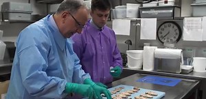 UF Health Neuromedicine Brain Bank »  McKnight Brain Institute » University of Florida