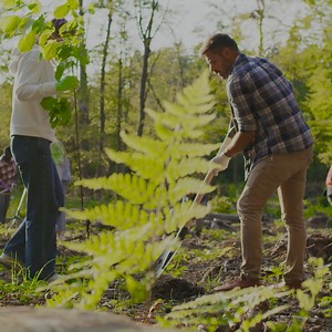 8 comments |  If you are an existing Co-operative Bank Community...