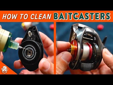 How to Clean & Maintain Your Baitcasting Reels | Fishing Reel Care Basics