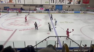 4.6K views · 52 reactions | Another view of the NIHL fight In tonight's Swindon Wildcats vs Sheffield Steeldogs game Declan Balmer vs Jack Brammer Thanks to Jordan Rees | Hockey Fights UK | Facebook