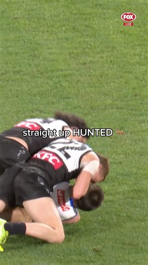 top 3 play of the game and it’s not 2 or 3 #afl #football #footy #highlights