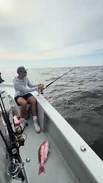 Breaking in the Penn Fathom 50 electric reel