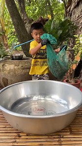 32K views · 193 reactions | '' Cricket cooking '' Have you ever eaten cricket before | Daily Food Videos | Facebook