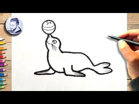 Comment dessiner un phoque facilement