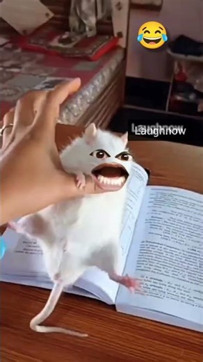 Bewafa Nikla 😂 | Comedy video #shorts #funny