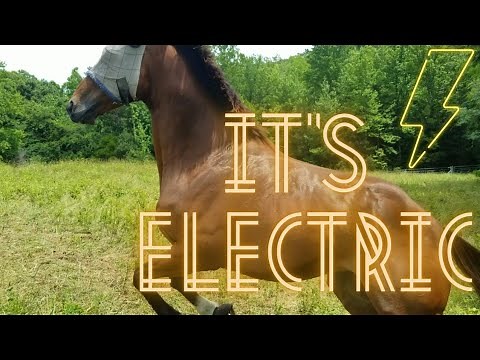Installing a solar electric fence charger and training horses to the hot wire!