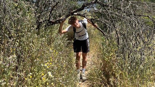 Donate to Tom's Indonesian Conservation Expedition, organized by Thomas Evans