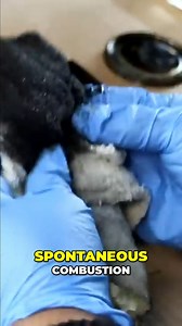 7.3K views · 207 reactions | Danger!!! Spontaneous Combustion...