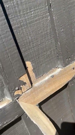 Why Paint Fails on Siding (and What It's Really Telling You) | Sunriver, OR