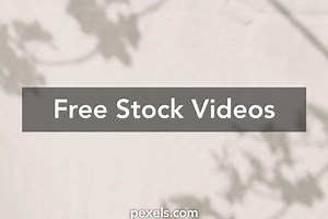 Moving Flowers Videos, Download The BEST Free 4k Stock Video Footage & Moving Flowers HD Video Clips