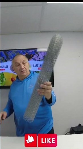 Protect your Plants: Budget-friendly DIY Cage