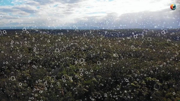 Geoengineering: A Solution or a Dangerous Gamble Against Climate Change?