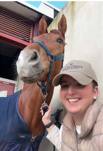 Mejor nos quedamos en la cuadra 🤣🤣🤣 #caballos #parati #humor #hipica #equestrian