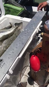 7.3K views · 63 reactions | Team Wet Sounds just in for weigh-in. But this was just a few mins ago on the water. | Wet Sounds | Facebook