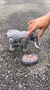 180K views · 620 reactions | Remote control elephant  testing #unboxing #kids #toys #badrulshorts #elephant #review | Badrul Shorts | Facebook