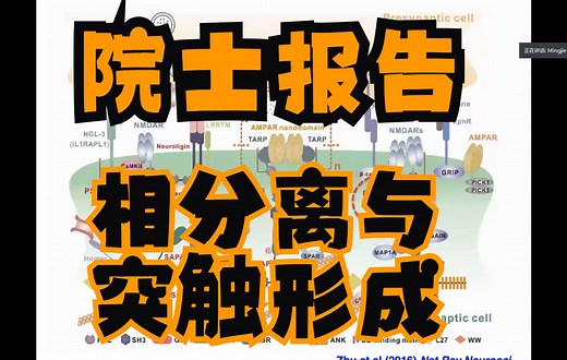 【科研讲座】南方科技大学张明杰院士-相分离在神经突触形成及功能中的重要作用