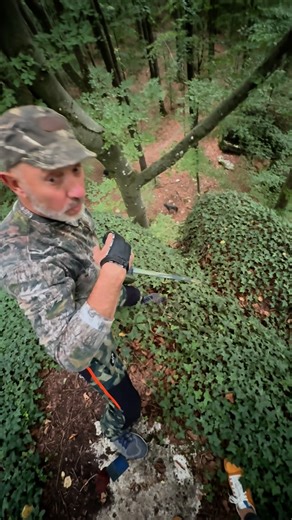 Bodnik Bows Henry Bodnik on Instagram: "Hoch oben auf den Felsen der Fränkischen Schweiz – ein Schuss wie aus einer anderen Welt. Der Blick geht steil nach unten, der Winkel extrem, die Situation atemberaubend. Genau hier zeigt sich, was instinktives Bogenschießen im Bodnik Style bedeutet: klare Intuition, volle Konzentration und der perfekte Moment. Und genau die richtige Situation für meinen Shrew Bow: extrem kurz, extrem handlich – und trotzdem extrem leistungsstark. Im Archery Park am Röthen