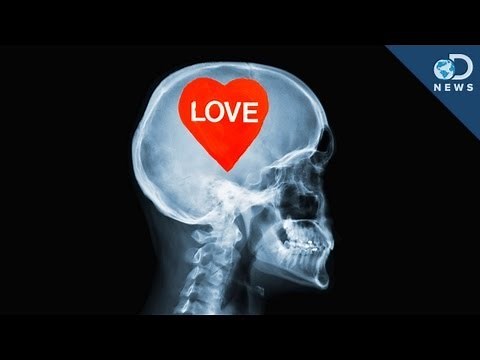 The Science of Love
